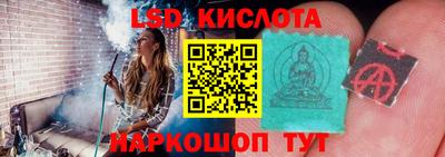 хмурый Камень-на-Оби