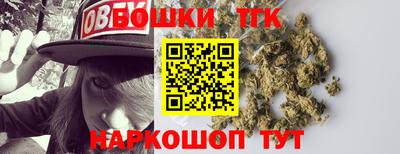 хмурый Камень-на-Оби