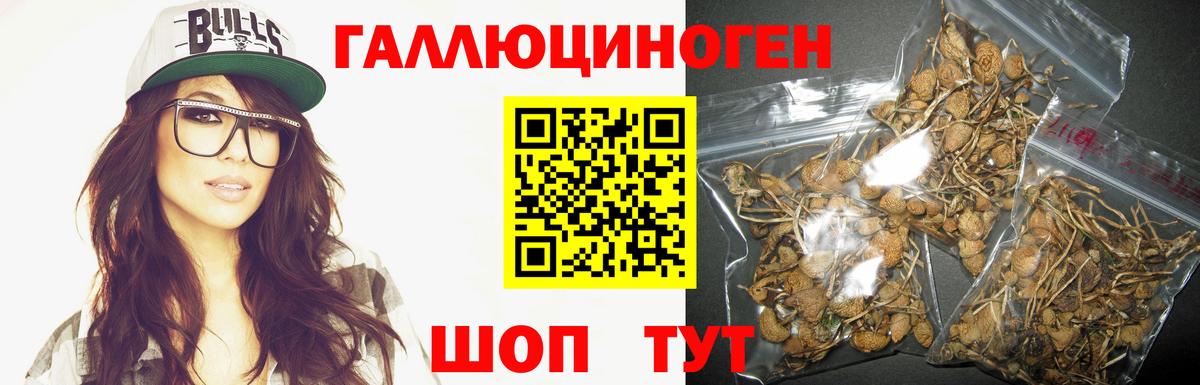 Псилоцибиновые грибы MAGIC MUSHROOMS  цены наркотик  Дмитров  Вход с VPN  Галлюциногенные грибы MAGIC MUSHROOMS 